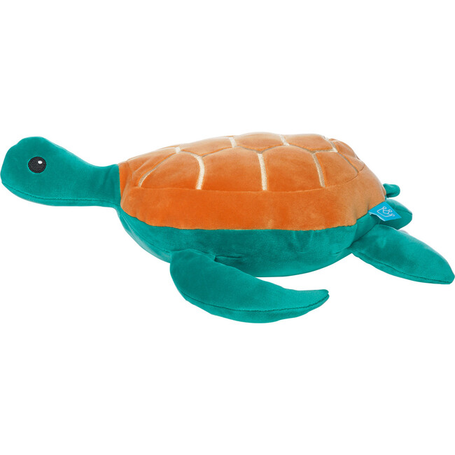 Salty Sea Turtle