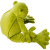 Fidgety Frog - Plush - 5