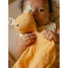Wren Set, Honey - Mixed Gift Sets - 4