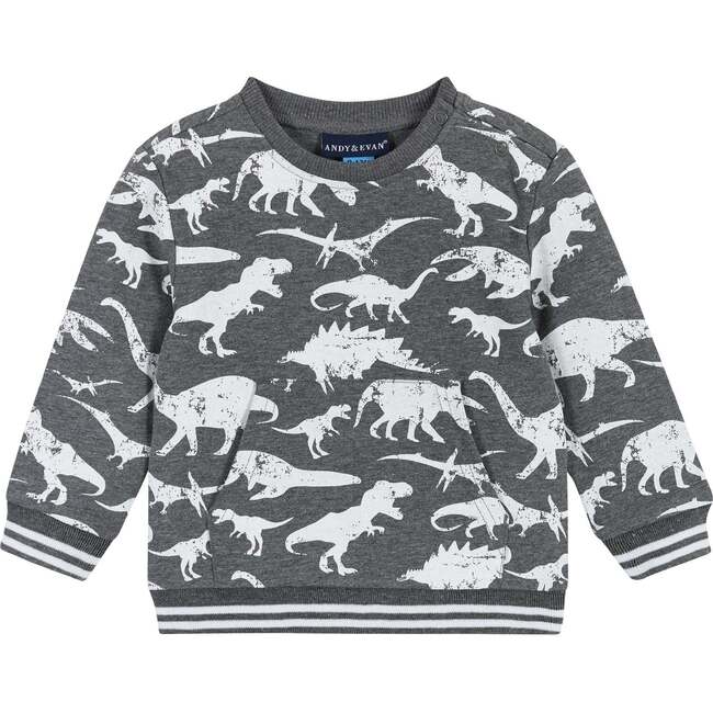 Infant Distressed Dino Crewneck Sweat Set - Mixed Apparel Set - 3