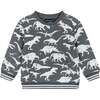 Infant Distressed Dino Crewneck Sweat Set - Mixed Apparel Set - 3