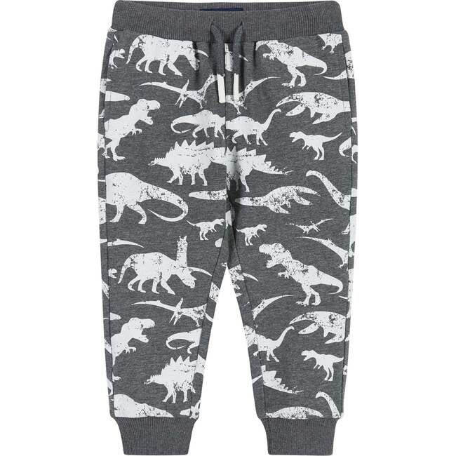 Infant Distressed Dino Crewneck Sweat Set - Mixed Apparel Set - 4