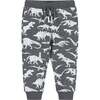 Infant Distressed Dino Crewneck Sweat Set - Mixed Apparel Set - 4