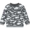 Distressed Dino Crewneck Sweat Set - Mixed Apparel Set - 6