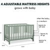 Colby 4-In-1 Low-Profile Convertible Crib, Light Sage - Cribs - 8