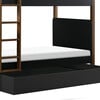 Tiptoe Bunk Bed, Black & Natural Walnut - Beds - 3