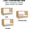 Otto 3-In-1 Convertible Crib, Honey & Acrylic - Cribs - 4