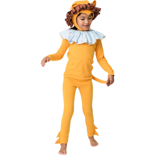 Circus Lion Pajama Costume