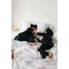 Baby Black Cat Pajama Costume - Costumes - 5