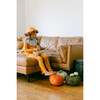 Circus Lion Pajama Costume - Costumes - 6