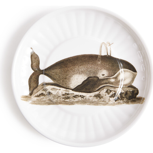 Whale Small Paper Plates Melamine, Set of 4