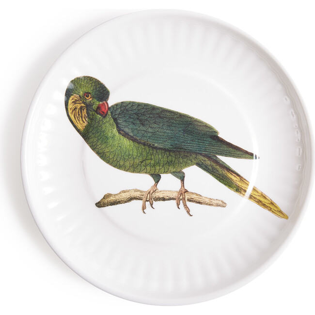 Parrot Large Paper Plates Melamine, Set of 4