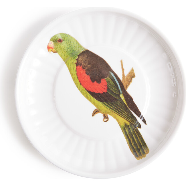 Parrot Small Paper Plates Melamine, Set of 4