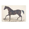 Stallion Vinyl Placemat - Tabletop - 1 - thumbnail