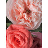 A Rose By Any Other Name Bouquet - Bouquets - 3