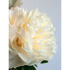 Peony For Your Thoughts Bouquet - Bouquets - 3