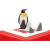 National Geographic Kids: Penguin Tonie - Books - 2