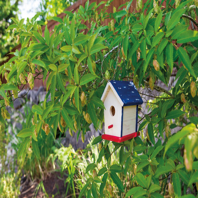 Beetle & Bee Paint A Bird Base, Backyard Birdhouse Kit - Activities - 2