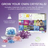 4M Deluxe Crystal Growing Combo STEM Science Kit - STEM Toys - 3