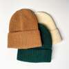 Everyday Beanie, Evergreen - Hats - 4