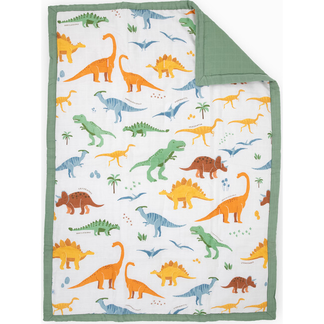Toddler Cotton Muslin Comforter, Dino Names