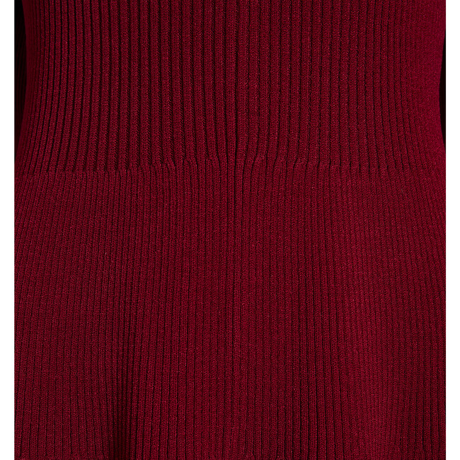 Women's The Persephone Ribbed High Neck Long Cuffed Sleeve Dress, Dark Cherry - Dresses - 8