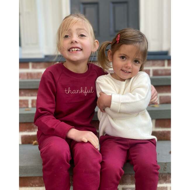The Organic Embroidered Pullover Sweatshirt, Cranberry Thankful - Sweatshirts - 2