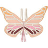 Pink Butterfly Wings - Costume Accessories - 1 - thumbnail