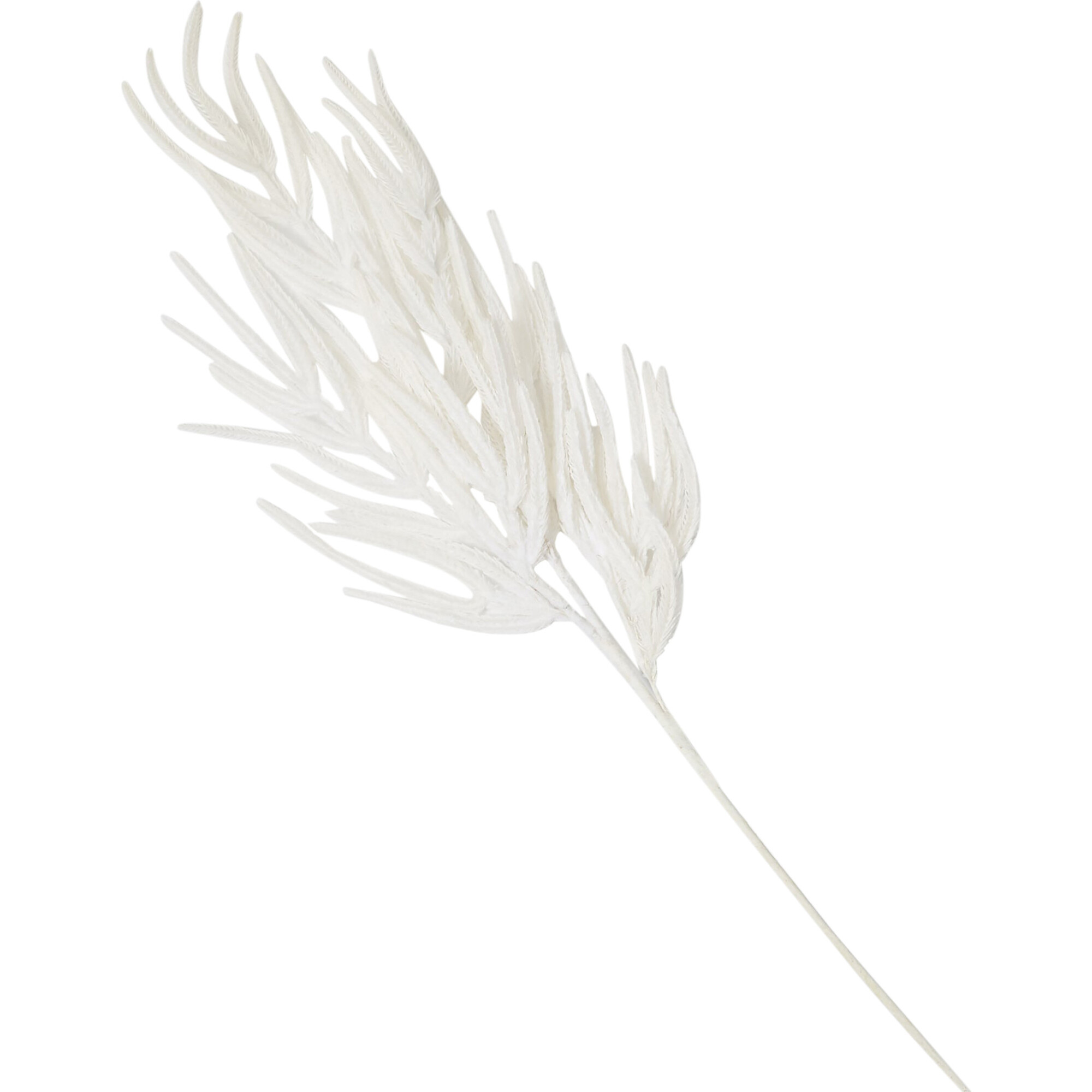Flocked White Norfolk Pine Branch - Bouquets - 1