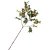 Green Variegated Large Holly Berry Branch - Bouquets - 1 - thumbnail