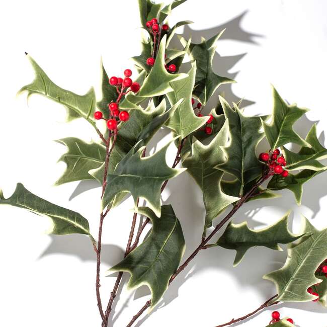 Green Variegated Large Holly Berry Branch - Bouquets - 2