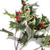 Green Variegated Large Holly Berry Branch - Bouquets - 2