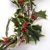 Holly Berry & Leaf Garland - Garlands - 4