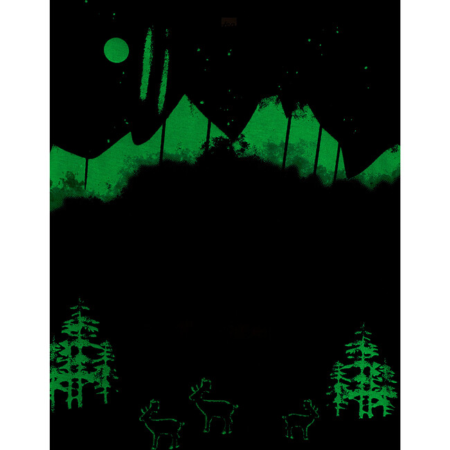 Northern Lights Graphic Tee, Jet Black - T-Shirts - 2