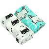 Mint & Super Hero 47-inch x 47-inch Swaddle, Multicolors (Set Of 2) - Swaddles - 1 - thumbnail
