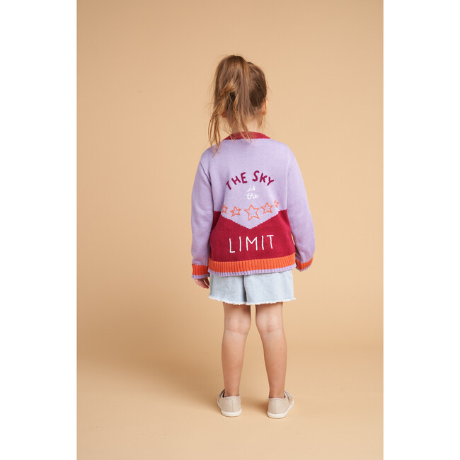 Sky Is The Limit Embroidered Cardigan Sweater, Burgundy & Lilac - Sweaters - 4