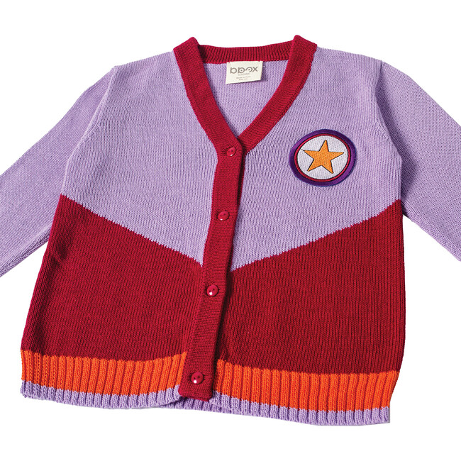 Sky Is The Limit Embroidered Cardigan Sweater, Burgundy & Lilac - Sweaters - 5