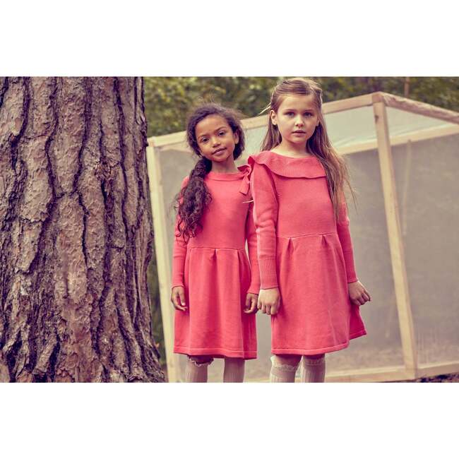 Ruffled Front Round Neck Long Puff Sleeve Dress, Raspberry - Dresses - 4