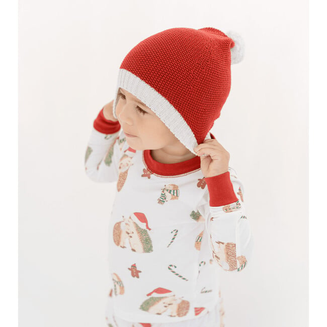 Emerson Kids 2 Piece Holiday Pajamas, Hedgehogs - Pajamas - 4