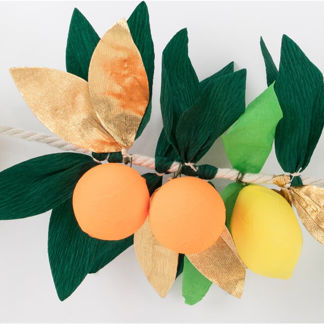 Citrus Fruit Garland - Garlands - 3