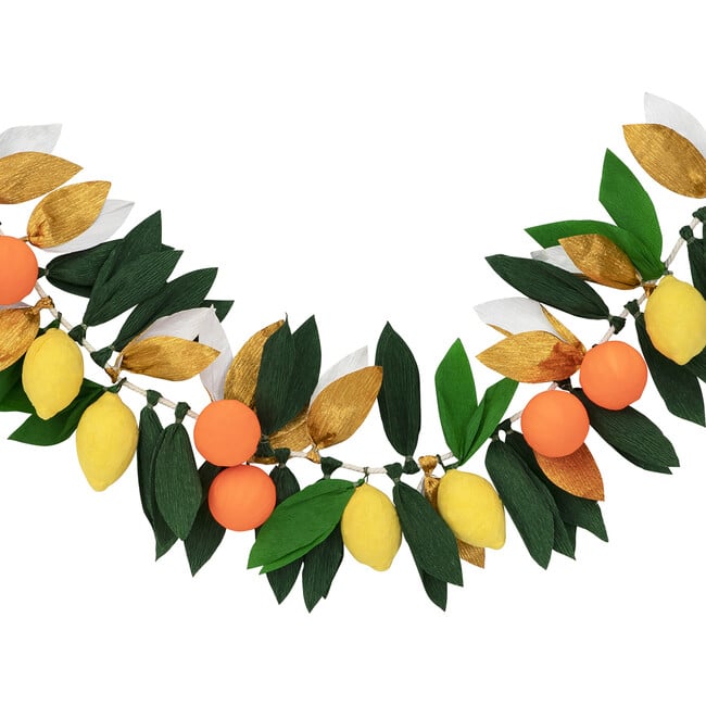 Citrus Fruit Garland - Garlands - 4