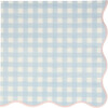 Set of 12 Gingham Large Napkins, Multi - Tableware - 5