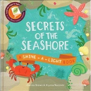 Kane Miller Shine-A-Light, Secrets of the Seashore