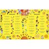 Kane Miller Everything Under the Sun - Books - 2
