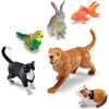 Jumbo Pets - STEM Toys - 1 - thumbnail