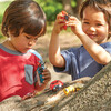 Jumbo Insects - STEM Toys - 3