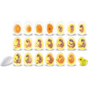 Chick Life Cycle Exploration Set - STEM Toys - 2