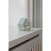 BIBS x Liberty Pacifier Box, Capel Sage - Pacifiers - 2
