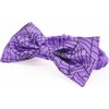 PURPLE SPIDER WEB HEADBAND - Costume Accessories - 1 - thumbnail