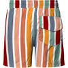 Rise & Shine Striped Drawstring Swim Shorts, Multicolors - Swim Trunks - 4